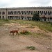 Osmania University Arts College