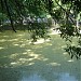 Пруд в городе Рига