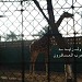 Dubai Zoo in Dubai city