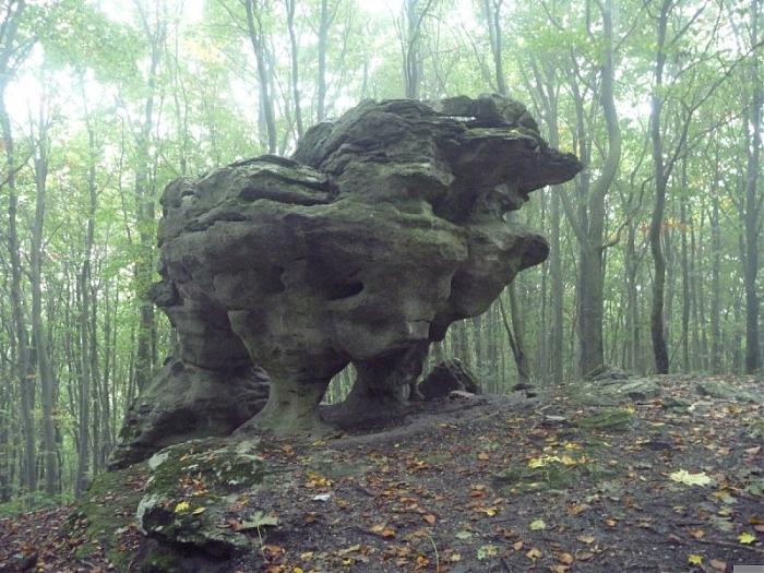 Скеля Кам'яний Триніг
