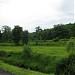 Sati