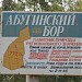 Абугинский бор