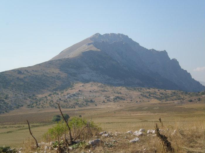 shkembi i zhejit