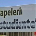 El Estudiante (The Student) in Cabo San Lucas city