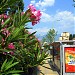 Bus Stop in Tirana city