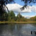 Разлив Капральева ручья в городе Новое Девяткино