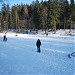 Разлив Капральева ручья в городе Новое Девяткино