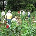 東京都立 神代植物公園