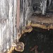 Береговая торпедная батарея (немецкая) в городе Балтийск