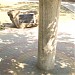 Кенотаф Хапаче Лакшуке («Адыгейский столб») в городе Горячий Ключ