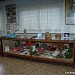 Museu Tonico & Tinoco na Pratânia city