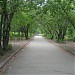 Парк им. Ю. Гагарина в городе Саратов