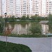 Утиный пруд в городе Щёлково
