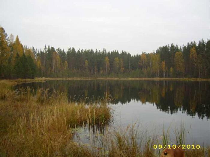 рыбалка в потанино рыбалка в потанино