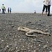 Sea Face Beach in Daman city