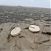 Sea Face Beach in Daman city