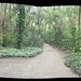 Bosque da Freguesia (pt) in Rio de Janeiro city