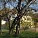 Дом С. И. Рождественского (Гатчинский ЗАГС) в городе Гатчина