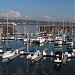 Salpare Bay Marina in Portland, Oregon city