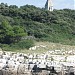 Остров Св. Андрия ( Красный остров) (ru) in Stadt Rovinj (dt. veraltet Ruwein)