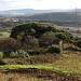 Nuraghe Sos Arestes