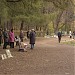 Вернисаж по выходным (ru) in Moscow city