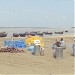 Mohona Fish Market-Digha