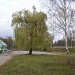 Бар «Кіндрат» в місті Недригайлів