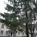 ДЮСШ в місті Недригайлів