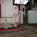 просп. Кирова, 16 в городе Пятигорск