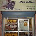 Krishna's Pet Aid Dog Clinic    98880-49569 in Nawanshahar city