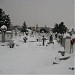 Cimitirul Micalaca în Arad oraş