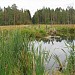 Красный (Третий) мостик  (разрушен) в городе Гатчина