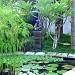 Puri Kelapa Cottages (en) di kota Kota Denpasar