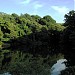 Tamamo Ike (lake) in Tokyo city