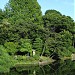 Tamamo Ike (lake) in Tokyo city