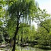 Pond in Tokyo city