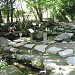 A shallow pond in Tokyo city