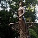 Пам'ятник Соломії Крушельницькій в місті Тернопіль