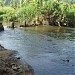 Karickakkuzhi River (Karickakkuzhi thodu)