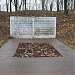 Vabadussõjas hukkunute ühishaud in Narva city