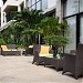 Saigon domaine  (vi) in Ho Chi Minh City city