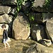 Artificial waterfalls in Tokyo city