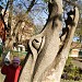 Скульптура аллигатора в городе Харьков