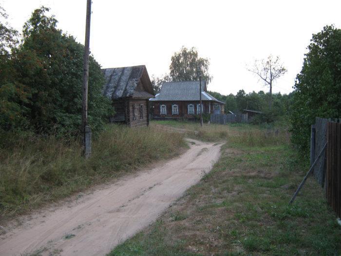 Деревня анисимово новгородской обл фото