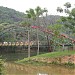Parque Ilha Grande na Guararema city