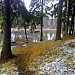 Разлив Капральева ручья в городе Новое Девяткино