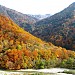 Tanigawa Ropeway station