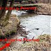 Пойма правого притока реки Раменки в городе Москва