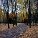 Borodino Park in Kursk city